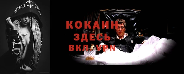 дживик Аркадак