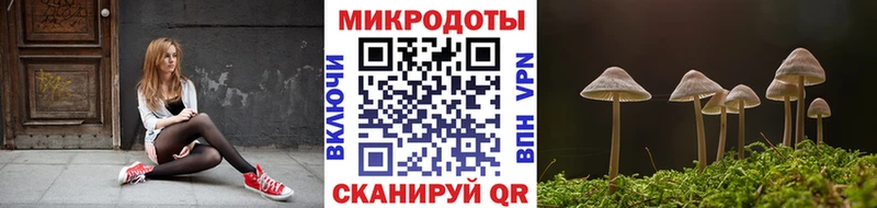 Галлюциногенные грибы GOLDEN TEACHER Шумерля